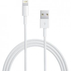 CAVO DATI LIGHTNING USB IPHONE 5/5s/6/6s/7/8/X APPLE ORIGINALE MD818ZM/A 1MT