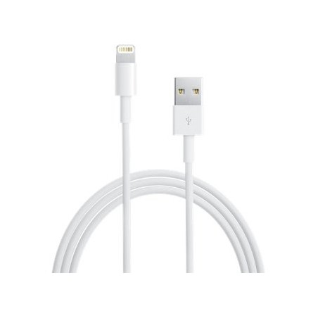 CAVO DATI LIGHTNING USB IPHONE 5/5s/6/6s/7/8/X APPLE ORIGINALE MD818ZM/A 1MT