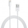 CAVO DATI LIGHTNING USB IPHONE 5/5s/6/6s/7/8/X APPLE ORIGINALE MD818ZM/A 1MT